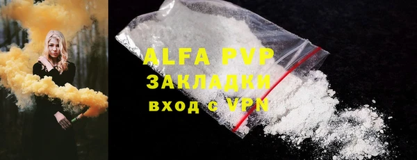 ГАЛЛЮЦИНОГЕННЫЕ ГРИБЫ Богданович