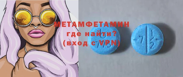 ГАЛЛЮЦИНОГЕННЫЕ ГРИБЫ Богданович