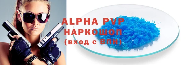 стаф Богородицк