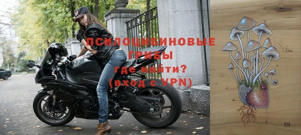 стаф Богородицк