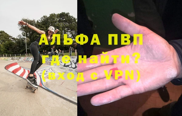 стаф Богородицк