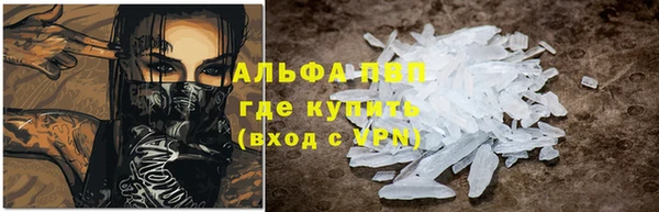 стаф Богородицк