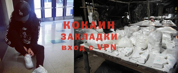 ГАЛЛЮЦИНОГЕННЫЕ ГРИБЫ Богданович